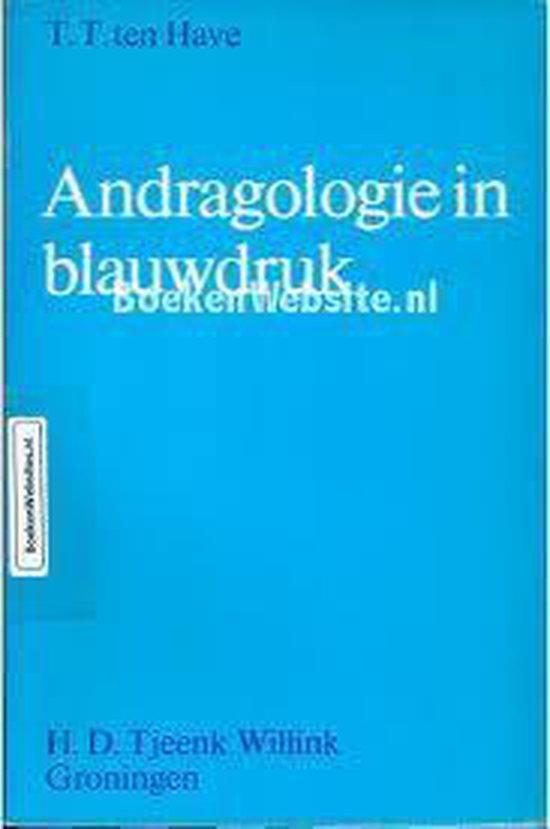 Andragologie in blauwdruk 9789001374747 Uitgeverij Ten Have, Boeken, Studieboeken en Cursussen, Gelezen, Verzenden