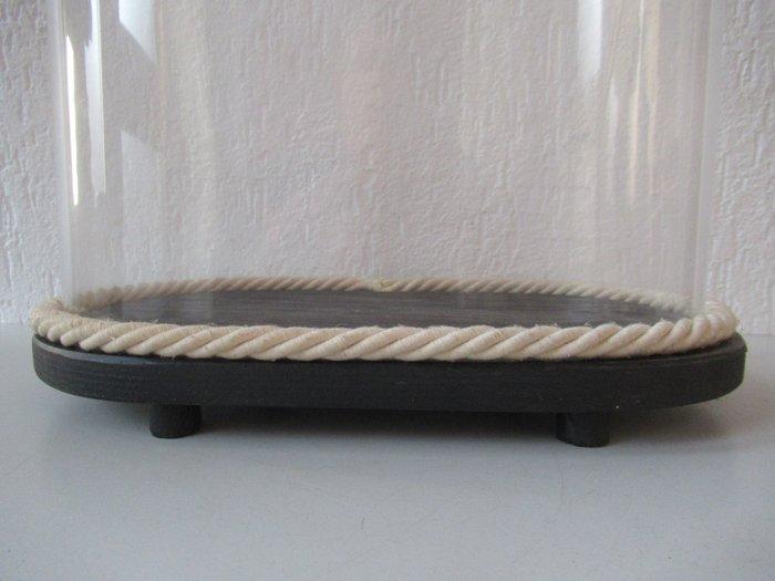 Stolp - Glas en hout - 1900-1910, Antiek en Kunst, Antiek | Overige Antiek