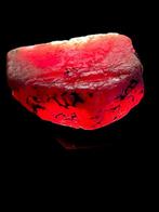 Robijn Echte edelsteen! Adembenemende 173 Ct. Mozambique, Verzamelen