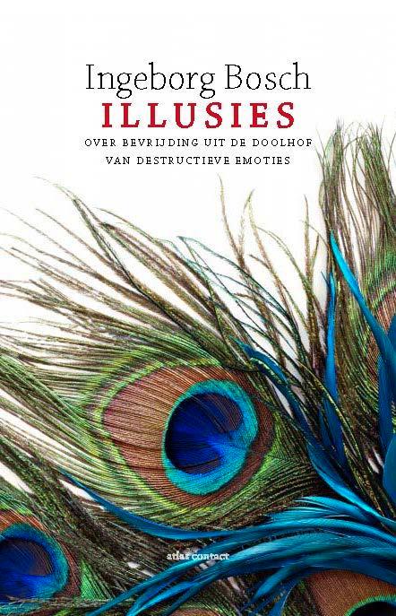 Illusies 9789045029825 Ingeborg Bosch, Boeken, Psychologie, Gelezen, Verzenden