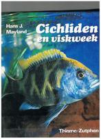 Cichliden en viskweek 9789003956101 Mayland, Verzenden, Gelezen, Mayland