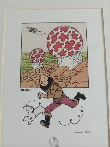 Tintin - Lithographie numérotée - Létoile mystérieuse