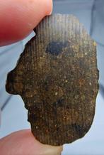 Meteoriet. Rumuruti R3-6. NWA 17584. - 5.5 g - (1), Verzamelen, Mineralen en Fossielen