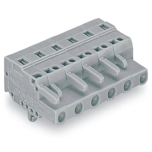 Wago Series 231 - 231-216/008-000 - 1-draads female steker, Doe-het-zelf en Bouw, Elektriciteit en Kabels, Verzenden