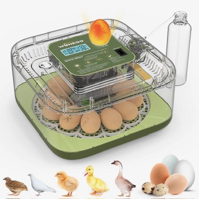 Broedmachine regelt zelf vochtigheid + gratis eieren, Animaux & Accessoires, Volatiles | Accessoires, Envoi