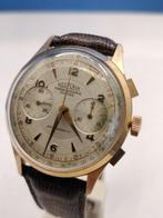 Hesperia - Classic Chronograph - Sans Prix de Réserve - 51 -, Nieuw