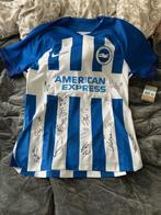 Brighton & Hove Albion - Championnat dAngleterre de, Nieuw