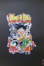 lasveguix (1986) - Fragment  Dragon Ball Z, Antiek en Kunst