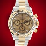 Rolex - Daytona - Champagne Diamonds Dial - Ref. 116503 -, Handtassen en Accessoires, Horloges | Heren, Nieuw