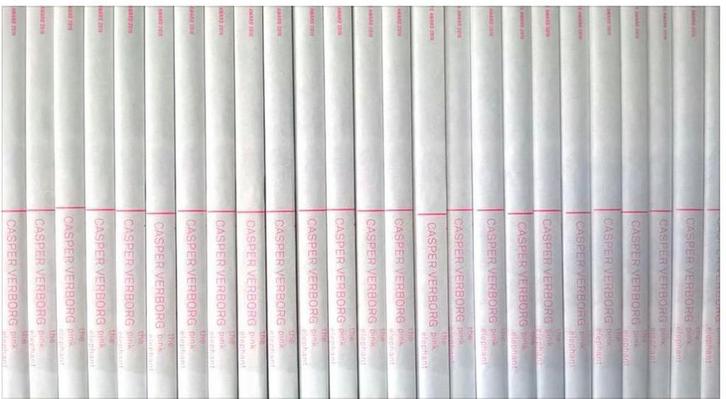 The Pink Elephant 9789075272000 Casper Verborg, Boeken, Kunst en Cultuur | Beeldend, Zo goed als nieuw, Verzenden