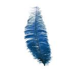 Blauwe Struisvogelveren 30cm 12st, Nieuw, Verzenden
