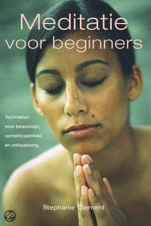 Meditatie Voor Beginners 9789045301129, Livres, Ésotérisme & Spiritualité, Envoi