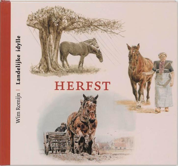 Landelijke idylle Herfst 9789043509725 W. Romijn, Boeken, Hobby en Vrije tijd, Zo goed als nieuw, Verzenden