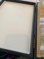 Microscope slide - biology, zoology, botany microbiology