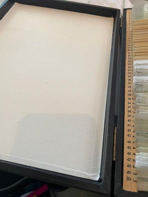 Microscope slide - biology, zoology, botany microbiology, Verzamelen, Foto-apparatuur en Filmapparatuur