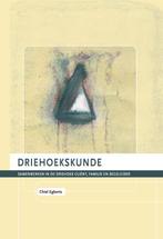 Driehoekskunde / Praktijkreeks / deel 1 9789077834596, Boeken, Studieboeken en Cursussen, Verzenden, Gelezen, Chiel Egberts