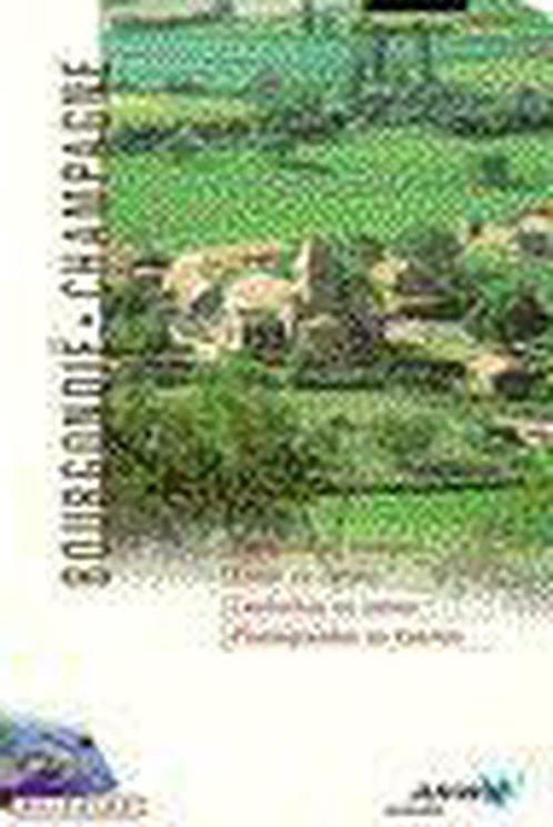BOURGONDIE, CHAMPAGNE GS* 9789018009571, Livres, Guides touristiques, Envoi