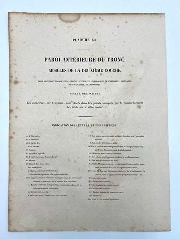 Matériel pédagogique - Nicolas-Henri Jacob & Jean Baptiste