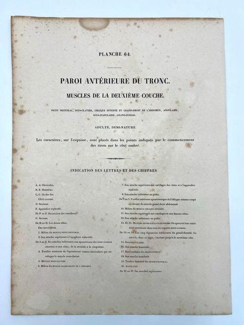 Matériel pédagogique - Nicolas-Henri Jacob & Jean Baptiste, Antiek en Kunst, Antiek | Wandborden en Tegels
