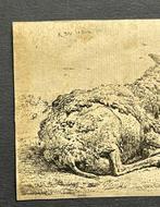 Karel Dujardin (c.1626-1678) - La pecora e le mosche