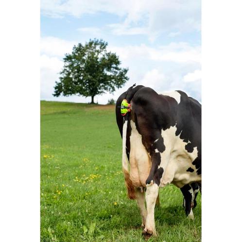 Moocall geboortemelder met 1 jaar moocall-abonnement, Zakelijke goederen, Landbouw | Veevoer