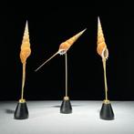 Intricate set of 3 Tibia Fusus op aangepaste standaarden