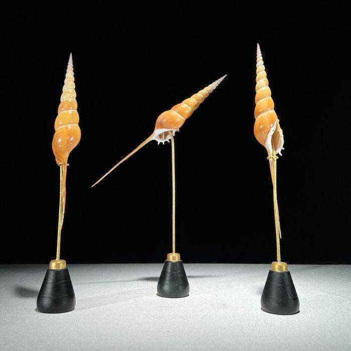 Intricate set of 3 Tibia Fusus op aangepaste standaarden, Antiek en Kunst, Curiosa en Brocante