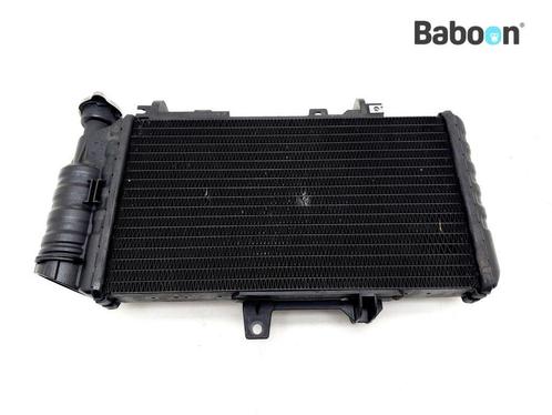 Radiateur BMW F 800 ST (F800ST), Motoren, Onderdelen | BMW, Gebruikt, Verzenden