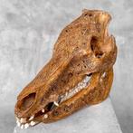 Geen minimumprijs - Vakkundig met de hand uitgesneden wild