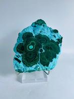 Échantillon de malachite de haute qualité avec chrysocolle –, Verzamelen, Mineralen en Fossielen