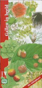 Gallen in beeld / In beeld / 21 9789050112949 K. de Heer, Verzenden, Gelezen, K. de Heer