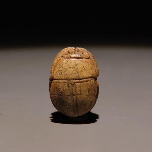 Oud-Egyptisch Speksteen Scarabee. Hyksos-periode, 1782 -, Verzamelen, Mineralen en Fossielen