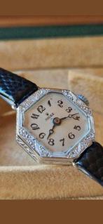 Rolex - Princess - Sans Prix de Réserve - 97101 - Femme -, Nieuw