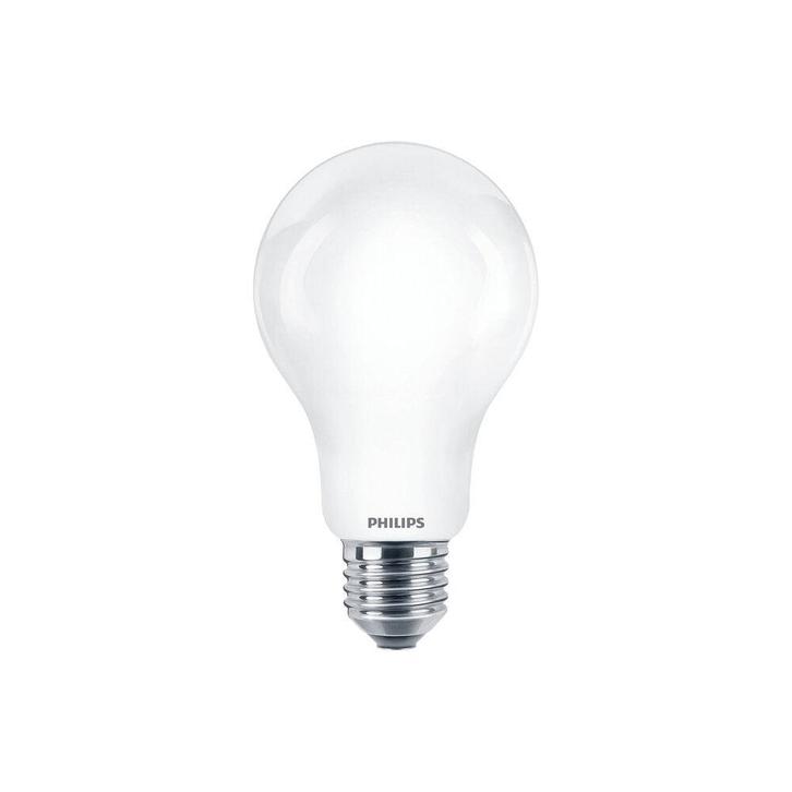 Philips CorePro Led A67 Haute Luminosité E27 Ampoule 17.5W, Bricolage & Construction, Éclairage de chantier, Envoi