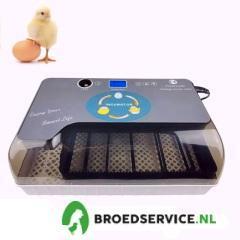 ACTIE - Slimme broedmachine met GRATIS broedeieren naar keuz, Dieren en Toebehoren, Pluimvee | Toebehoren, Broedmachine, Nieuw