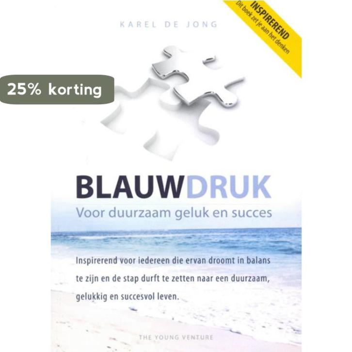 Blauwdruk 9789081901000 Karel de Jong, Boeken, Economie, Management en Marketing, Zo goed als nieuw, Verzenden