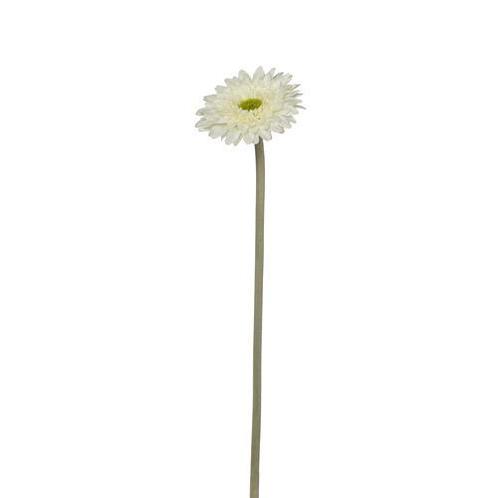 Gerbera Spicky 34 cm Ivoorwit Gerbera, Maison & Meubles, Accessoires pour la Maison | Plantes & Fleurs artificielles