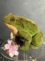 Steiff: Froggy de kikker, 1968, EAN 2370/10 - Teddybeer -