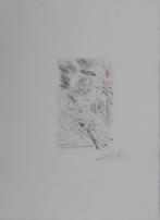 Salvador Dali (1904-1989) - Lange