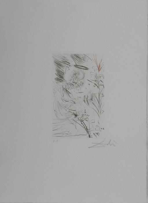 Salvador Dali (1904-1989) - Lange, Antiquités & Art, Antiquités | Autres Antiquités