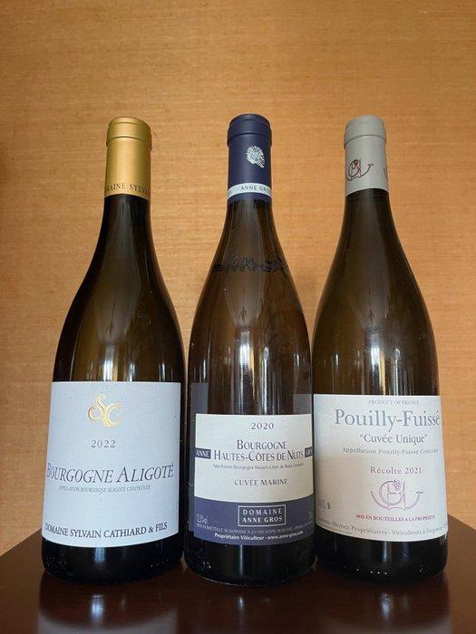 2021 Guffens-Heynen Pouilly-Fuissé Cuvée Unique, 2022, Verzamelen, Wijnen
