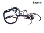 Faisceau de câblage Buell Blast 2000-2009 (Y0200.TB)
