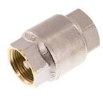 G 1 Clapet Anti Retour Nickelé En Laiton 20 Bar (290 Psi), Verzenden, Nieuw
