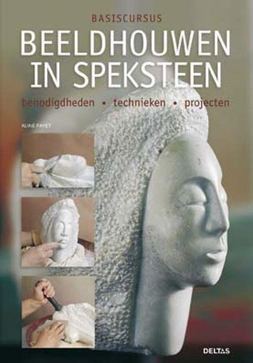 Beeldhouwen in speksteen / Basiscursus 9789044714395, Boeken, Hobby en Vrije tijd, Zo goed als nieuw, Verzenden