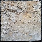 Tegel - Antieke tegel met vogel op tak met vruchten. -, Antiek en Kunst