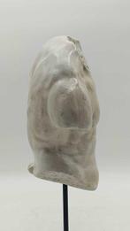 sculptuur, Torso Gaddi - 36 cm - marmerstof