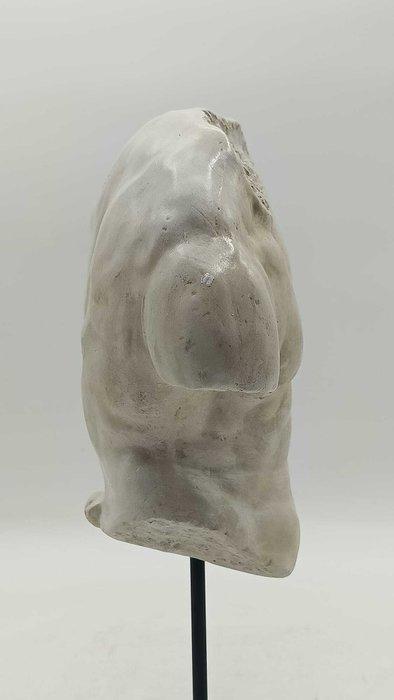 sculptuur, Torso Gaddi - 36 cm - marmerstof, Antiek en Kunst, Curiosa en Brocante