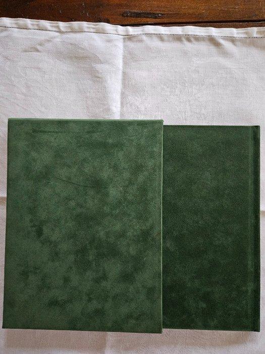 Suske en Wiske - De Rinoramp - luxe fluwelen HC - 1 Album -, Boeken, Stripverhalen