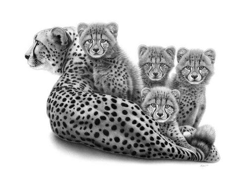 Schu - Cheetah family - XL, Antiquités & Art, Art | Peinture | Moderne