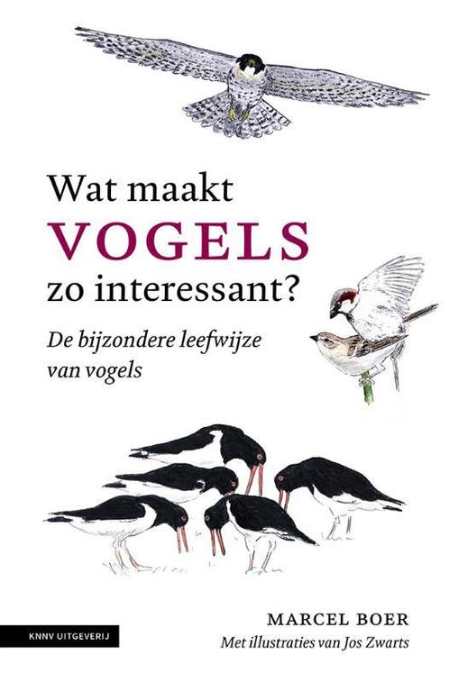 Wat maakt vogels zo interessant? 9789050117500 Marcel Boer, Boeken, Hobby en Vrije tijd, Gelezen, Verzenden